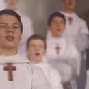 파리나무십자가 소년합창단 내한공연 이미지