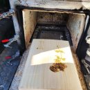 반려동물 토탈 케어 이미지