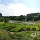 천리포수목원 이미지