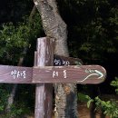 황방산 맨발걷기 이미지