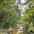 원터농장 이미지