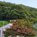 망마보조경기장 이미지