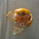 강산약국 | 2025년 '고전문학의 밤' 화요반 (feat.이음담 플레이스)