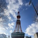 청아목장 | [삿포로여행] 마이재팬비에이후기 삿포로일일버스투어 비에이투어후기 삿포로꼭가야하는 삿포로여행지추천