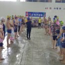 팔마수영장 이미지