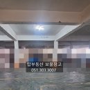 김도경 공인중개사사무소 이미지