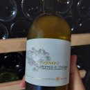 파토리아 이미지