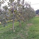 준하농장 이미지