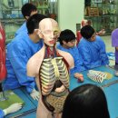 미래 메디컬 이미지