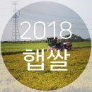 수빈농장 이미지