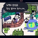 치커리(chicory) 이미지