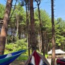 아침고요푸른마을 이미지