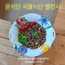 윤식단 밸런시 곡물식단 마살라 핫커리 후기 통곡물 냉동볶음밥 추천