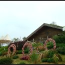 하늘공원 화장실 이미지