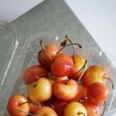 비마트 내돈내산 | 1년에 딱 한 번, 수플린 미국산 레이니어 체리 칼로리 및 맛 솔직 후기