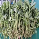 수환농장 이미지