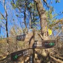 작곡재 좌측 이미지