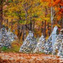 물내치기 이미지