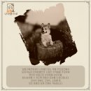 나를품개 이미지