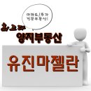 고척마젤란아파트 이미지