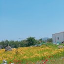 돌산보건지소 이미지