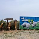 온양목장 이미지