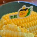 초당옥수수푸딩카페쵸딩