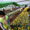 백양산 양묘장 이미지