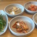 양지교통(주) 이미지