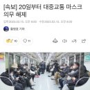 녹원홍삼 | 3월 콩켸팥켸 일상모음