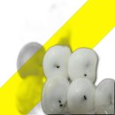 가람식품 이미지