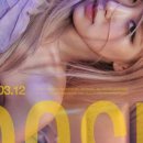 로제12