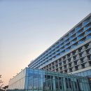 느티나무사우나 | 4개월 아기와 네스트호텔 호캉스 후기｜조식·키즈존·먹부림까지 솔직 후기