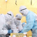 서구보건소(5) 이미지