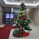 수복골프연습장 | (한양파인CC) 설원에서 골프 치는 건 이런 거군요!! 한겨울 눈 오는 날 라운딩 후기