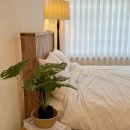 여행치킨 | 대학생 군산여행 추천｜시간여행마을 스테이골목집 &amp; 왠치킨호프 맛집 후기