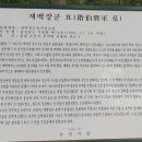 백제군사박물관 Daum카페