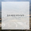 허브자연