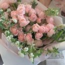 수원-1397 이미지