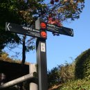 우면산3-20 이미지