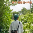 동광경로당 | 제주 서쪽 수국 명소 동광리 수국길 길모퉁이가게