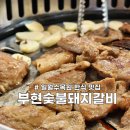 일월갈비 | 수원 일월수목원 한식 맛집 부현숯불돼지갈비 내돈내산 후기