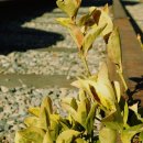 기찻길느린풍경 이미지