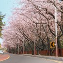 중2동-26 이미지