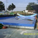 하나농장B 이미지