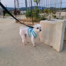 몽쁘띠끄 이미지