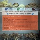빨봉분식미니다대포점 | [부산 사하] 다대동마라꼬치 맛집 셰셰마라