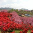 완산-64 이미지