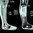 담경주