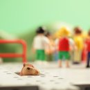 성소아청소년과의원 이미지